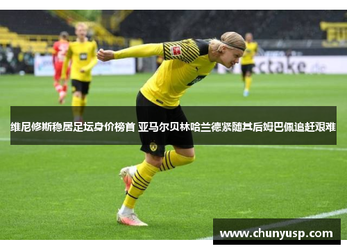 维尼修斯稳居足坛身价榜首 亚马尔贝林哈兰德紧随其后姆巴佩追赶艰难 维尼修斯稳居足坛身价榜首 亚马尔贝林哈兰德紧随其后姆巴佩追赶艰难